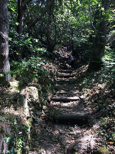 22 Loguivy de la mer - Coz Castel (boucle)