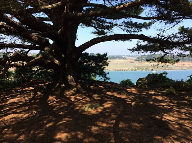 22 Loguivy de la mer - Coz Castel (boucle)