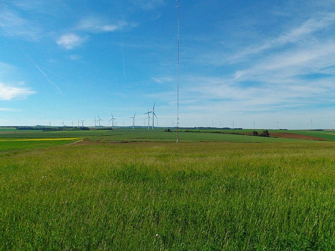 Parcours marche Boucle de Venoy BleignyleCarreau Venoy