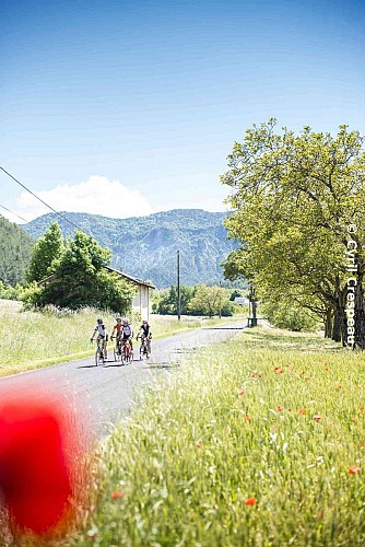 Le petit Menglonnais