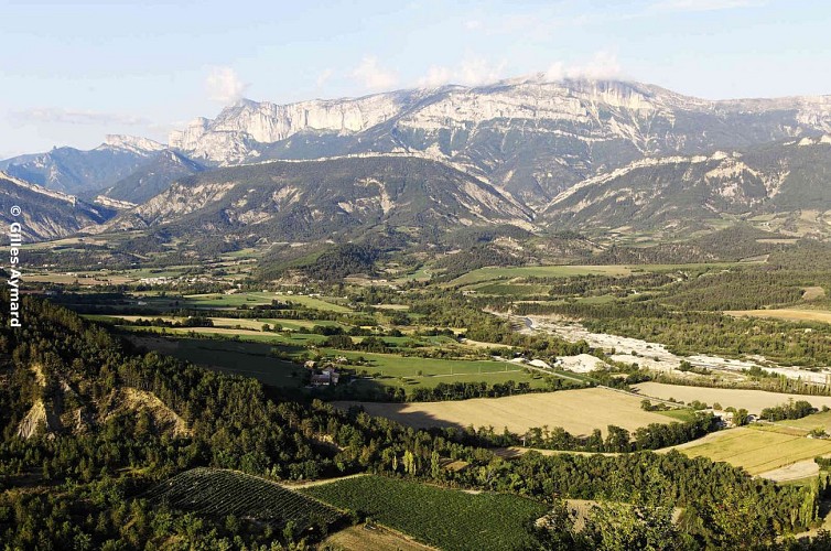 Le petit Menglonnais