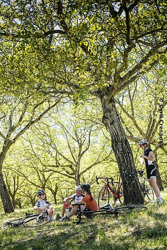 La Drômoise des familles