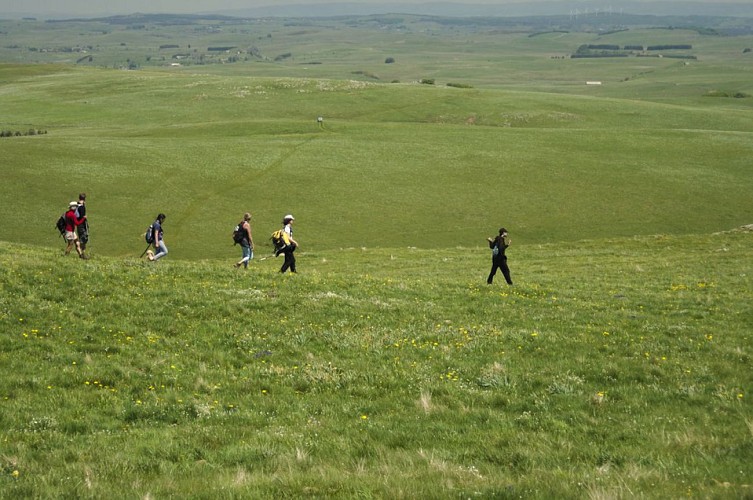 Randonnée sur l'Aubrac
