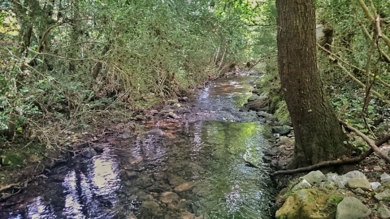 Le ruisseau du Verzolet