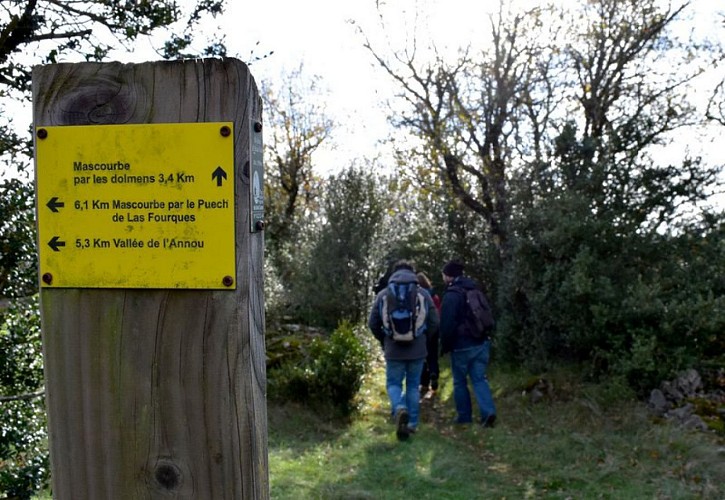 A une intersection...