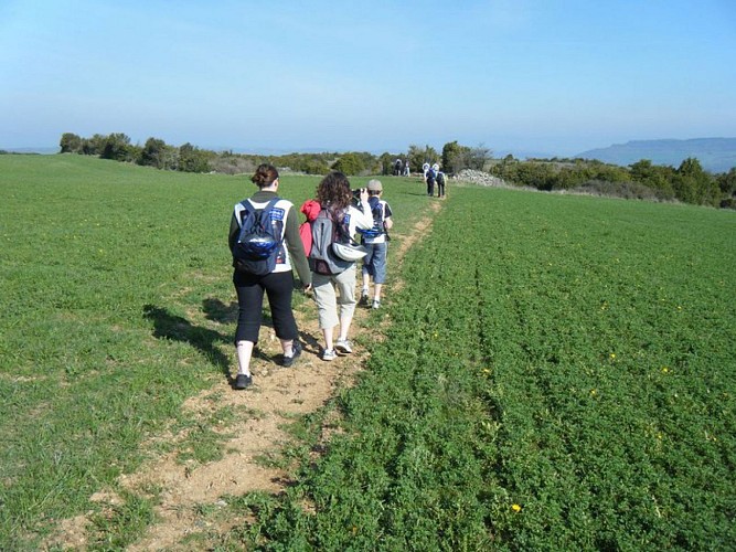 From St-Jean-d’Alcas to the Mascourbe plateau