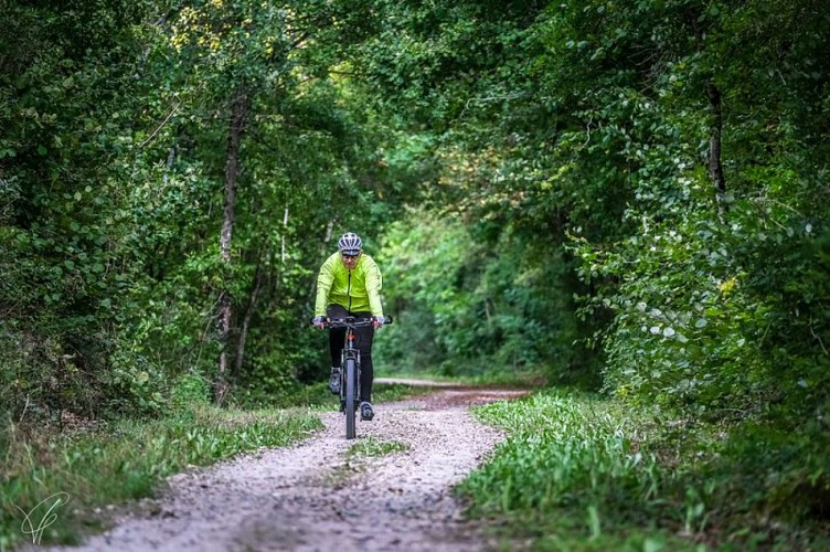 N°8 VTT - Vallée du Verzolet