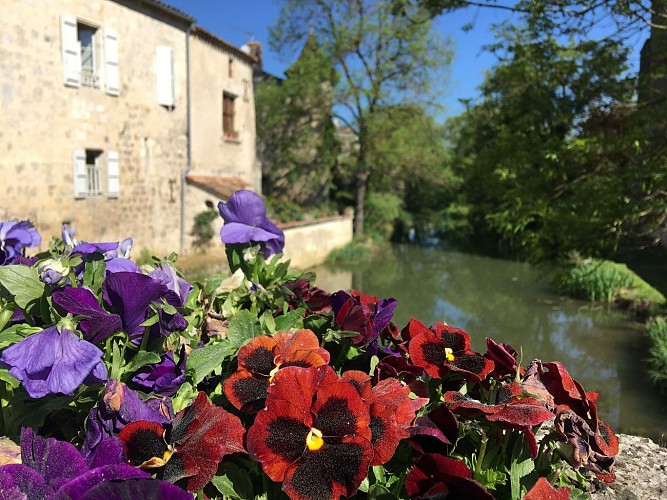 Pont sur l'Auzoue - Fourcès