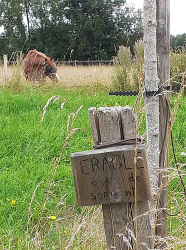 Arboretum de l'étang