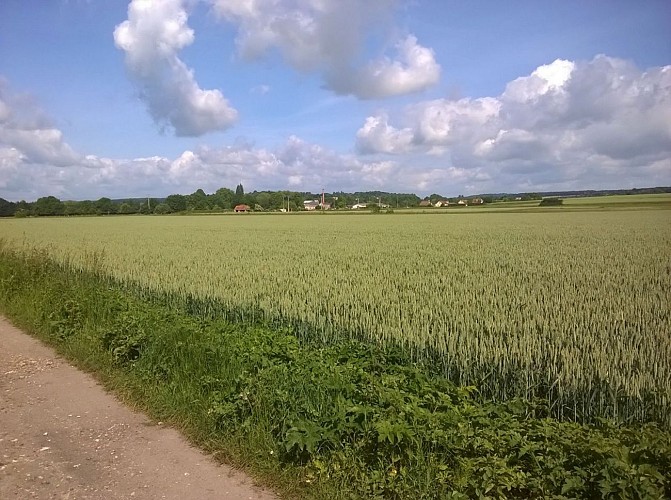 Vexin Normand - Cheminée vestige industriel