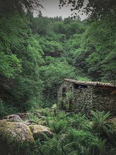 Moulin de la Laurède