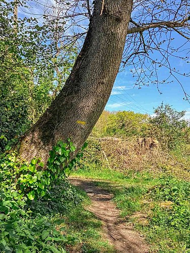 Le Tour de Vals_Varilhes