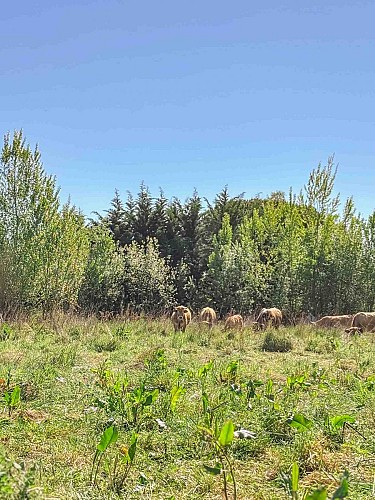 Le Tour de Vals_Varilhes