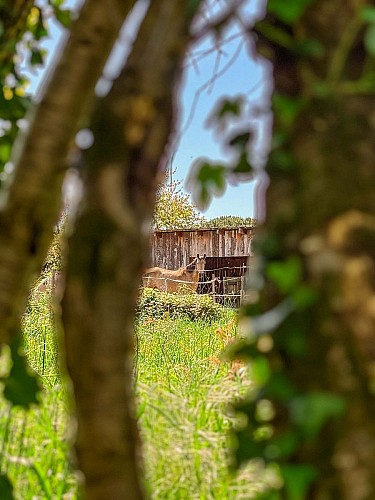 Le Tour de Vals_Varilhes