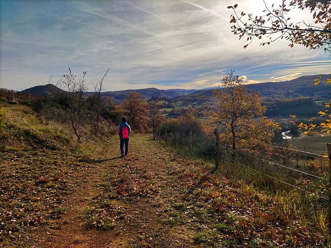 Sentier des Vignes3