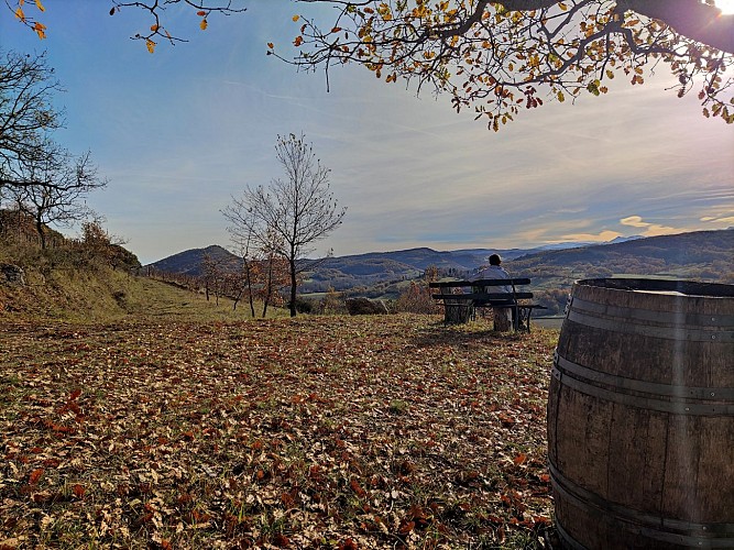 Sentier des Vignes5