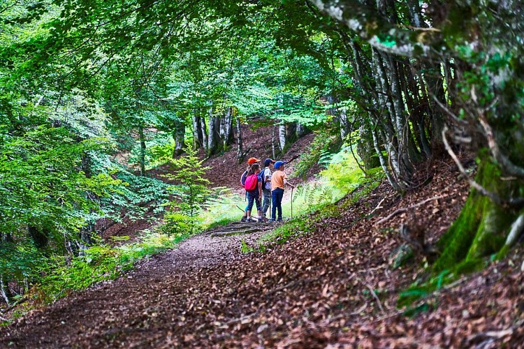 Randonnée au Col d'Uscla - Passage dans la forêt