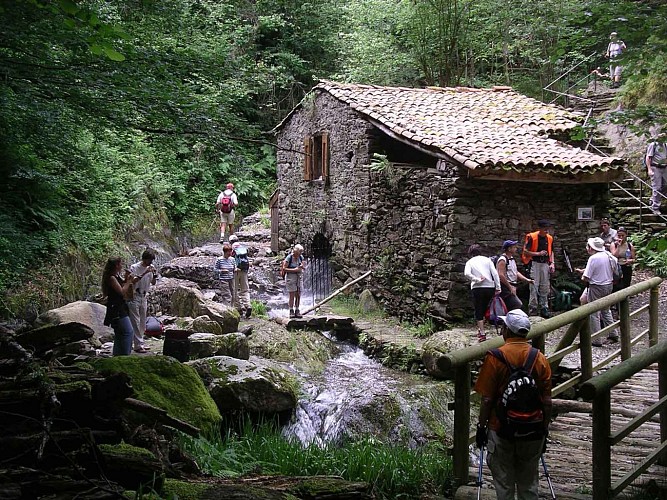 Moulin de la Laurède