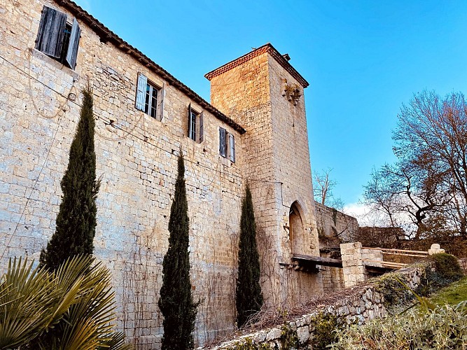 Château du Mas d'Auvignon