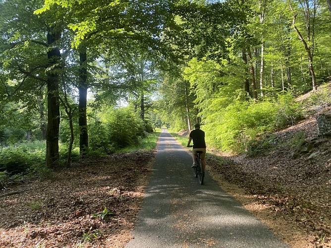 La Lionne - © FTPL-Audrey Köttgen