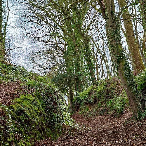 Chemins creux