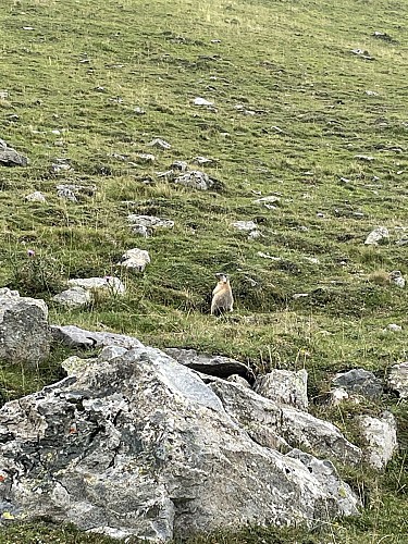 LE CHEMIN DES MULETIERS