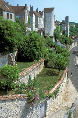 Stevenson | Etape 3 de Château-Landon à Ferrières-en-Gâtinais