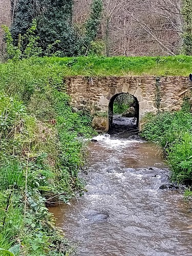 PLOUHA - Le Palus