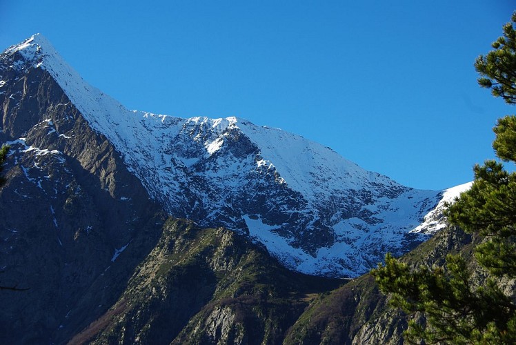 Wandeltocht het bos "des Roudons"_Chantelouve