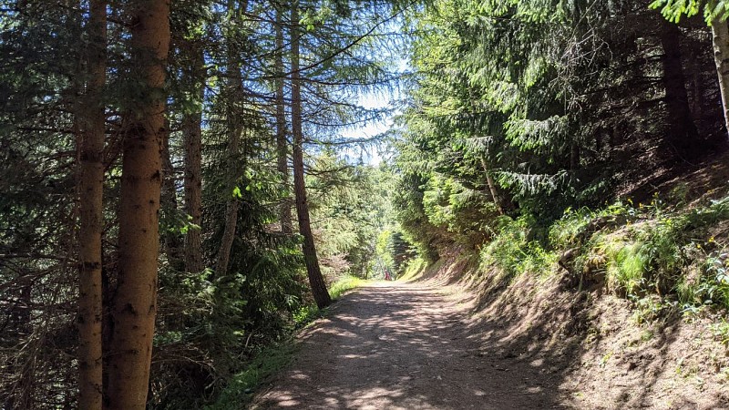 Trail - Pied Moutet - Balcons