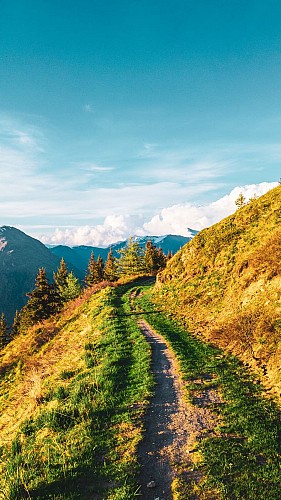 Trail - Pied Moutet - Crête