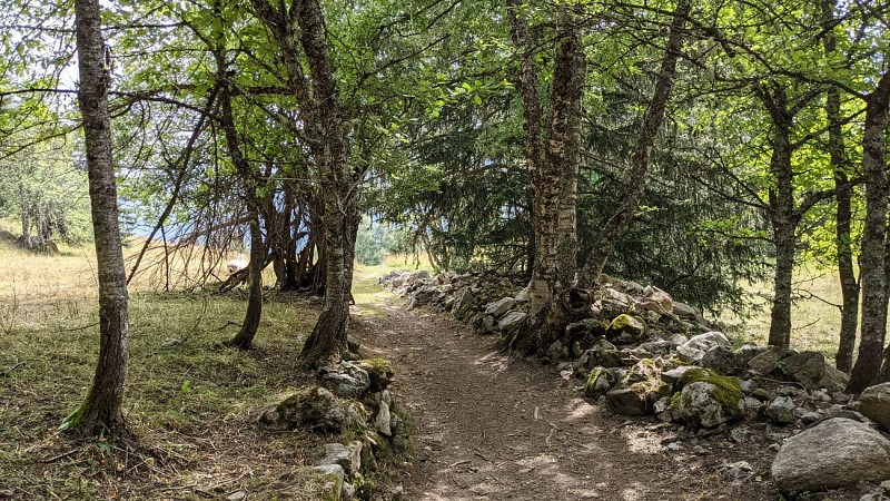 Trail - Pied Moutet - Le Tour