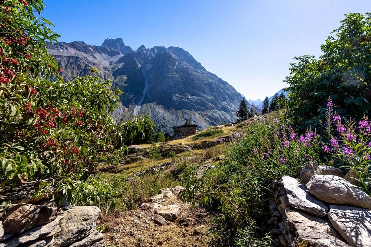 Travers des lacs par l'Alpe du Pin - Mountainside crossing between the lakes via the Alpe du Pin refuge
