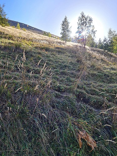 Montée au plateau d'Emparis