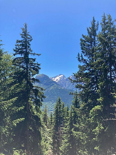 Col de Maronne via les Sures - Wandelen vanuit Auris-en-Oisans_Auris-en-Oisans