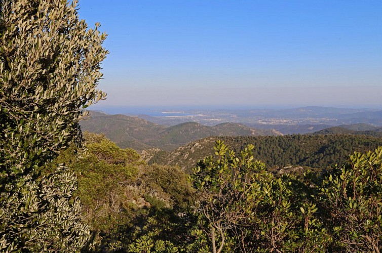 Sentier de la Garde-Freinet à Grimaud par les Vernades