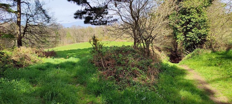 La campagne de PLufur