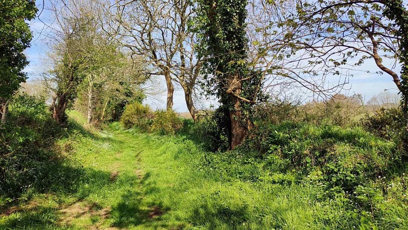 Chemin entre les talus
