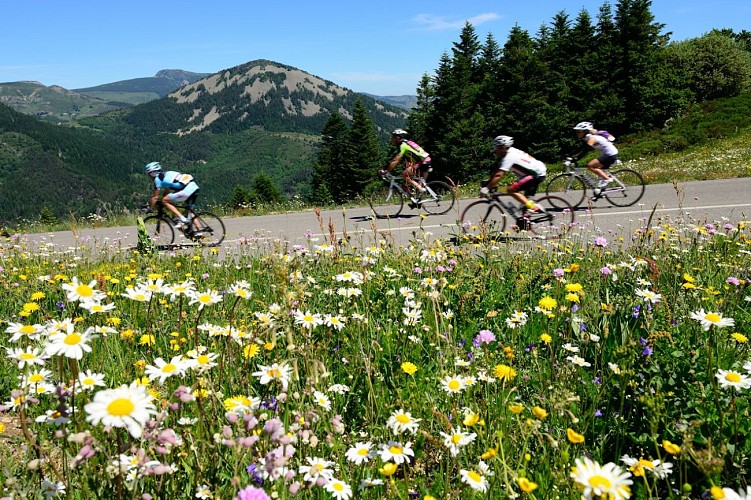 Sur les routes de l'Ardéchoise