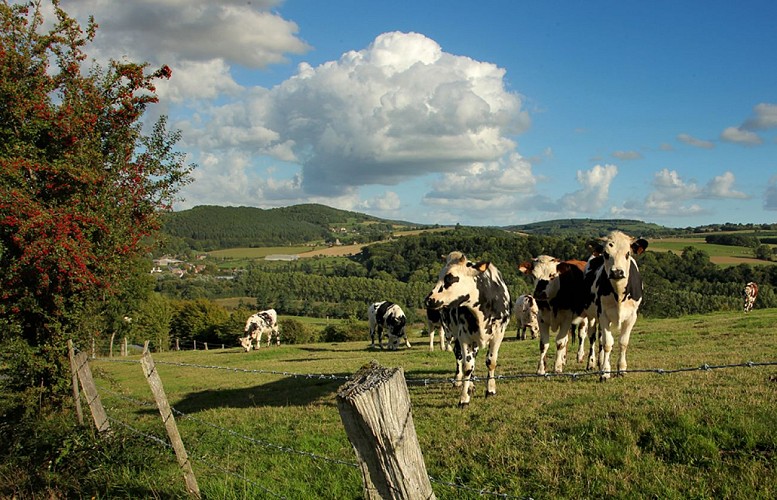 Circuit Clécy et ses villages