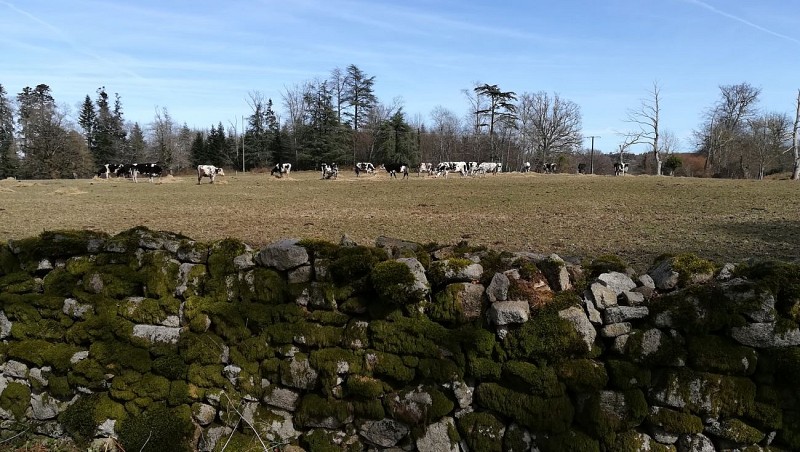 circuit des murets Aureil