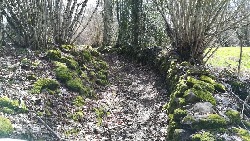 murets de pierres sèches