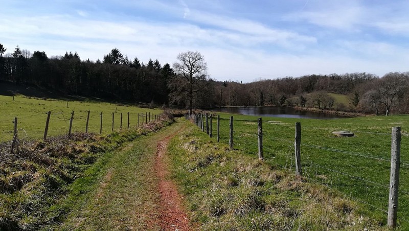 chemin et étang Aureil