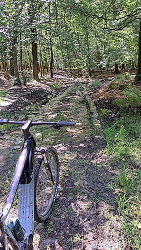 Thumbnail_20240729_120430