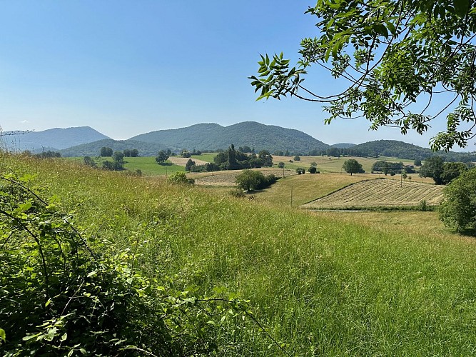 SENTIER ÉQUESTRE : ASPET - SOUEICH - ASPET