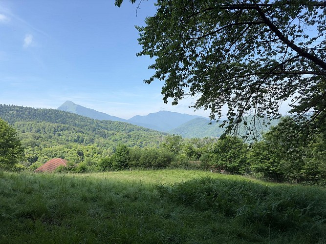 SENTIER ÉQUESTRE : ASPET - SENGOUAGNET- ASPET