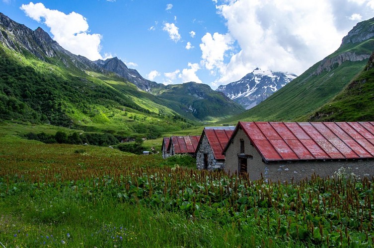 2-day itinerant hike: The mountain pastures of the Vallon de Chavière