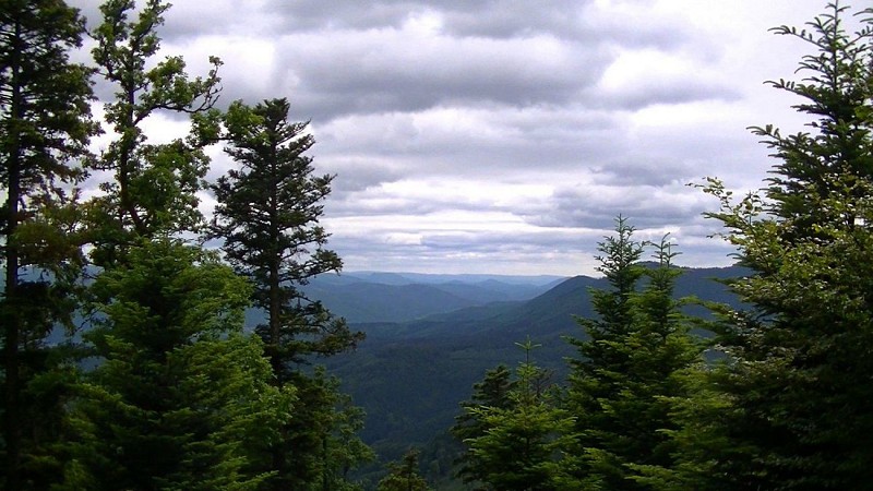 Depuis la piste panoramique