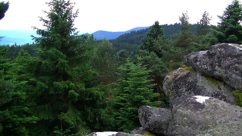 Point de vue au dessus de Lottelfels