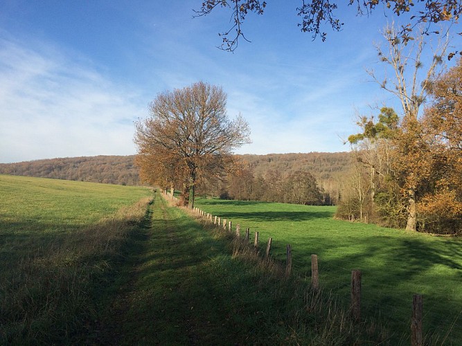 Wandeling en ontdekking van de Petit Morin